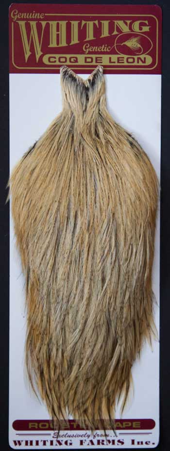 Indian Cock Neck